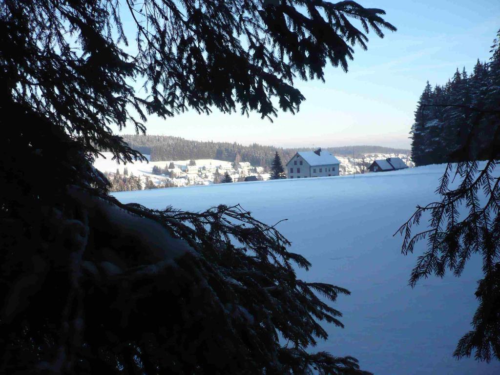 Hohengasthof Lowen - Escheck Schönwalde Exterior foto